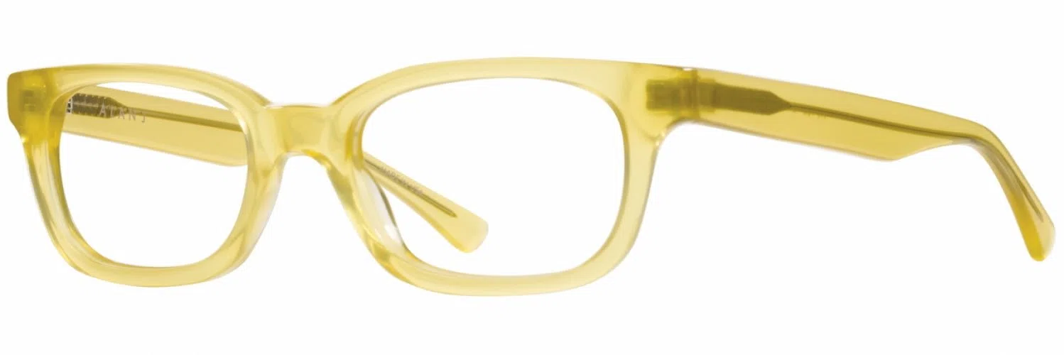 Alan J AJ100 Eyeglasses - view 12